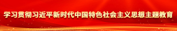 操逼B学习贯彻习近平新时代中国特色社会主义思想主题教育