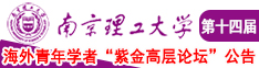 www搔逼网站南京理工大学第十四届海外青年学者紫金论坛诚邀海内外英才！